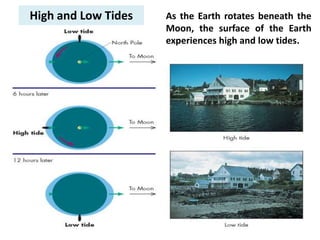 High and Low Tides As the Earth rotates beneath the
Moon, the surface of the Earth
experiences high and low tides.
 