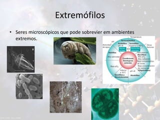 Extremófilos
• Seres microscópicos que pode sobrevier em ambientes
extremos.
 