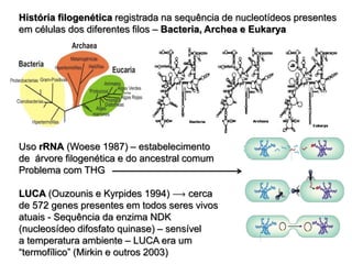 História filogenética registrada na sequência de nucleotídeos presentes
em células dos diferentes filos – Bacteria, Archea e Eukarya
Uso rRNA (Woese 1987) – estabelecimento
de árvore filogenética e do ancestral comum
Problema com THG
LUCA (Ouzounis e Kyrpides 1994)  cerca
de 572 genes presentes em todos seres vivos
atuais - Sequência da enzima NDK
(nucleosídeo difosfato quinase) – sensível
a temperatura ambiente – LUCA era um
“termofílico” (Mirkin e outros 2003)
 