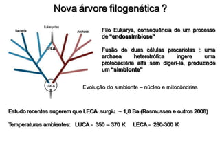 Evolução do simbionte – núcleo e mitocôndrias
 