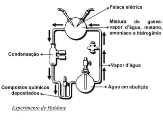 Experimento de Haldane
 