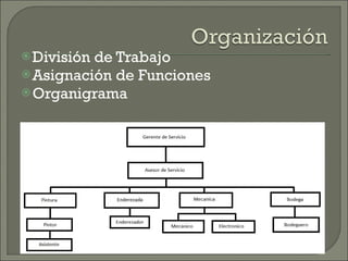 División de Trabajo Asignación de Funciones Organigrama 