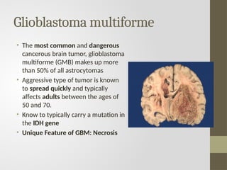 Glioblastoma multiforme
• The most common and dangerous
cancerous brain tumor, glioblastoma
multiforme (GMB) makes up more
than 50% of all astrocytomas
• Aggressive type of tumor is known
to spread quickly and typically
affects adults between the ages of
50 and 70.
• Know to typically carry a mutation in
the IDH gene
• Unique Feature of GBM: Necrosis
 