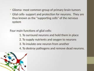 • Glioma- most common group of primary brain tumors
• Glial cells- support and protection for neurons. They are
thus known as the "supporting cells" of the nervous
system
Four main functions of glial cells:
1. To surround neurons and hold them in place
2. To supply nutrients and oxygen to neurons
3. To insulate one neuron from another
4. To destroy pathogens and remove dead neurons.
 