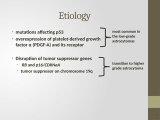 Etiology
• mutations affecting p53
• overexpression of platelet-derived growth
factor α (PDGF-A) and its receptor
• Disruption of tumor suppressor genes
• RB and p16/CDKNaA
• tumor suppressor on chromosome 19q
most common in
the low-grade
astrocytomas
transition to higher
grade astrocytoma
 