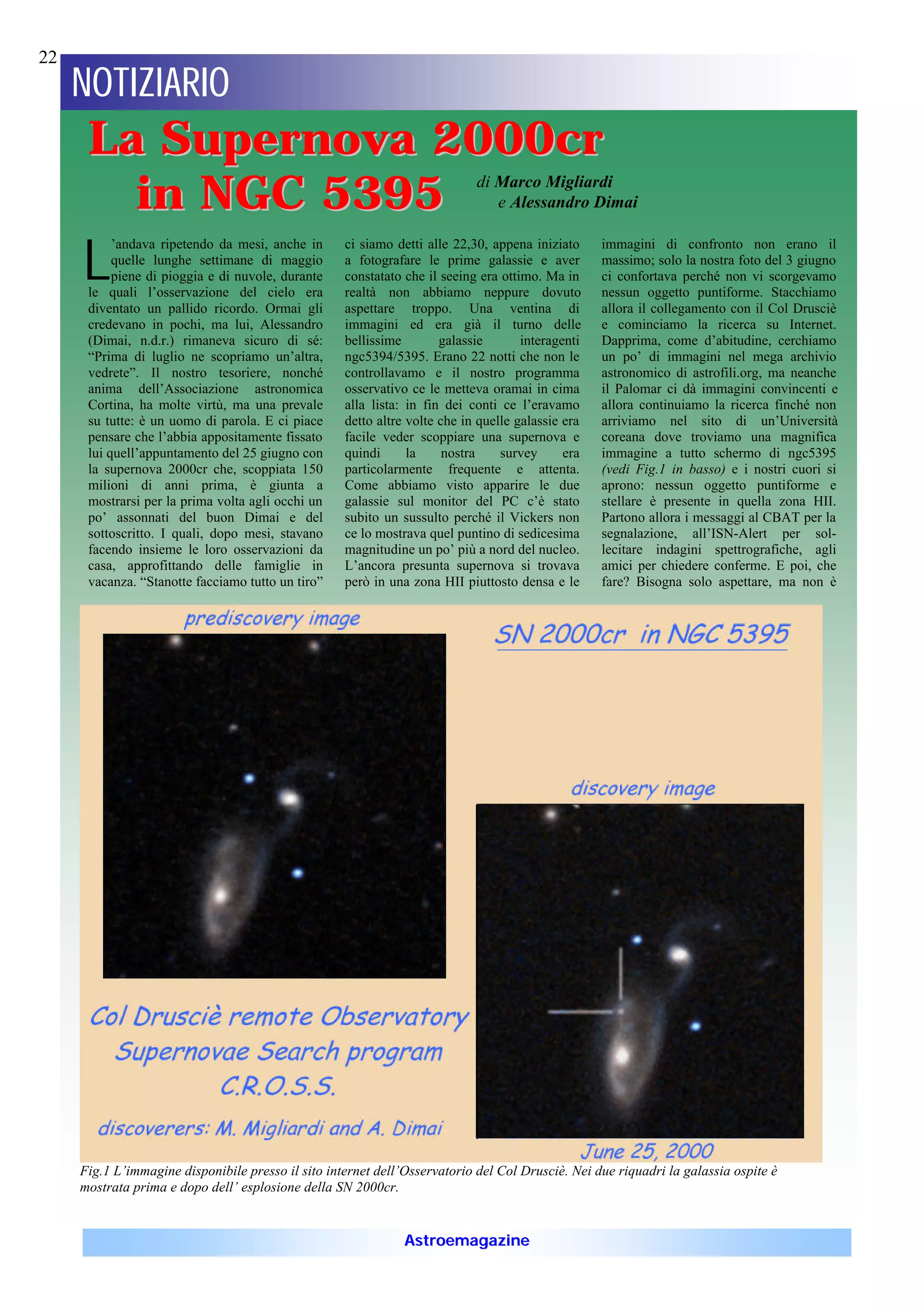 22
     NOTIZIARIO
      La Supernova 2000cr
        in NGC 5395                                                         di Marco Migliardi
                                                                               e Alessandro Dimai



     L
           ’andava ripetendo da mesi, anche in      ci siamo detti alle 22,30, appena iniziato     immagini di confronto non erano il
           quelle lunghe settimane di maggio        a fotografare le prime galassie e aver         massimo; solo la nostra foto del 3 giugno
           piene di pioggia e di nuvole, durante    constatato che il seeing era ottimo. Ma in     ci confortava perché non vi scorgevamo
      le quali l’osservazione del cielo era         realtà non abbiamo neppure dovuto              nessun oggetto puntiforme. Stacchiamo
      diventato un pallido ricordo. Ormai gli       aspettare troppo. Una ventina di               allora il collegamento con il Col Drusciè
      credevano in pochi, ma lui, Alessandro        immagini ed era già il turno delle             e cominciamo la ricerca su Internet.
      (Dimai, n.d.r.) rimaneva sicuro di sé:        bellissime        galassie       interagenti   Dapprima, come d’abitudine, cerchiamo
      “Prima di luglio ne scopriamo un’altra,       ngc5394/5395. Erano 22 notti che non le        un po’ di immagini nel mega archivio
      vedrete”. Il nostro tesoriere, nonché         controllavamo e il nostro programma            astronomico di astrofili.org, ma neanche
      anima dell’Associazione astronomica           osservativo ce le metteva oramai in cima       il Palomar ci dà immagini convincenti e
      Cortina, ha molte virtù, ma una prevale       alla lista: in fin dei conti ce l’eravamo      allora continuiamo la ricerca finché non
      su tutte: è un uomo di parola. E ci piace     detto altre volte che in quelle galassie era   arriviamo nel sito di un’Università
      pensare che l’abbia appositamente fissato     facile veder scoppiare una supernova e         coreana dove troviamo una magnifica
      lui quell’appuntamento del 25 giugno con      quindi      la     nostra    survey      era   immagine a tutto schermo di ngc5395
      la supernova 2000cr che, scoppiata 150        particolarmente frequente e attenta.           (vedi Fig.1 in basso) e i nostri cuori si
      milioni di anni prima, è giunta a             Come abbiamo visto apparire le due             aprono: nessun oggetto puntiforme e
      mostrarsi per la prima volta agli occhi un    galassie sul monitor del PC c’è stato          stellare è presente in quella zona HII.
      po’ assonnati del buon Dimai e del            subito un sussulto perché il Vickers non       Partono allora i messaggi al CBAT per la
      sottoscritto. I quali, dopo mesi, stavano     ce lo mostrava quel puntino di sedicesima      segnalazione, all’ISN-Alert per sol-
      facendo insieme le loro osservazioni da       magnitudine un po’ più a nord del nucleo.      lecitare indagini spettrografiche, agli
      casa, approfittando delle famiglie in         L’ancora presunta supernova si trovava         amici per chiedere conferme. E poi, che
      vacanza. “Stanotte facciamo tutto un tiro”    però in una zona HII piuttosto densa e le      fare? Bisogna solo aspettare, ma non è




     Fig.1 L’immagine disponibile presso il sito internet dell’Osservatorio del Col Drusciè. Nei due riquadri la galassia ospite è
     mostrata prima e dopo dell’ esplosione della SN 2000cr.


                                                               Astroemagazine
 