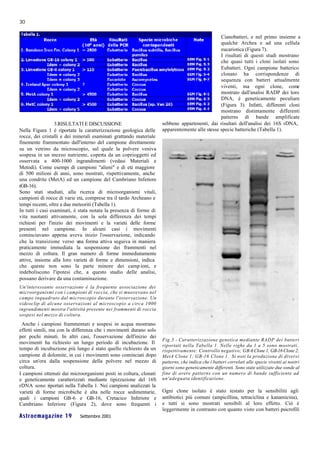 30

                                                                                               Cianobatteri, e nel primo insieme a
                                                                                               qualche Archea e ad una cellula
                                                                                               eucariotica (Figura 7).
                                                                                               I risultati di questi studi mostrano
                                                                                               che quasi tutti i cloni isolati sono
                                                                                               Eubatteri. Ogni campione batterico
                                                                                               clonato ha corrispondenze di
                                                                                               sequenza con batteri attualmente
                                                                                               viventi, ma ogni clone, come
                                                                                               mostrato dall'analisi RADP dei loro
                                                                                               DNA, è geneticamente peculiare
                                                                                               (Figura 3). Infatti, differenti cloni
                                                                                               mostrano distintamente differenti
                                                                                               patterns di bande amplificate
                  3.RISULTATI E DISCUSSIONE                         sebbene appartenenti, dai risultati dell'analisi dei 16S rDNA,
Nella Figura 1 è riportata la caratterizzazione geologica delle     apparentemente alle stesse specie batteriche (Tabella 1).
rocce, dei cristalli e dei minerali esaminati grattando materiale
finemente frammentato dall'interno del campione direttamente
su un vetrino da microscopio, sul quale la polvere veniva
sospesa in un mezzo nutriente, coperta da un coprioggetti ed
osservata a 400-1000 ingrandimenti (vedasi Materiali e
Metodi). Come esempi di campioni "alieni" e di età maggiore
di 500 milioni di anni, sono mostrati, rispettivamente, anche
una condrite (MetA) ed un campione del Cambriano Inferiore
(GB-16).
Sono stati studiati, alla ricerca di microorganismi vitali,
campioni di rocce di varie età, comprese tra il tardo Archeano e
tempi recenti, oltre a due meteoriti (Tabella 1).
In tutti i casi esaminati, è stata notata la presenza di forme di
vita nuotanti attivamente, con la sola differenza dei tempi
richiesti per l'inizio dei movimenti e la varietà delle forme
presenti nel campione. In alcuni casi i movimenti
cominciavano appena aveva inizio l'osservazione, indicando
che la transizione verso una forma attiva seguiva in maniera
praticamente immediata la sospensione dei frammenti nel
mezzo di coltura. Il gran numero di forme immediatamente
attive, insieme alla loro varietà di forme e dimensioni, indica
che queste non sono la parte minore dei camp ioni, e
indeboliscono l'ipotesi che, a questo stadio delle analisi,
possano derivare da una contaminazione.
Un'interessante osservazione è la frequente associazione dei
microorganismi con i campioni di roccia, che si muovevano nel
campo inquadrato dal microscopio durante l'osservazione. Un
videoclip di alcune osservazioni al microscopio a circa 1000
ingrandimenti mostra l'attività presente nei frammenti di roccia
sospesi nel mezzo di coltura.
 Anche i campioni frammentati e sospesi in acqua mostrano
effetti simili, ma con la differenza che i movimenti durano solo
per pochi minuti. In altri casi, l'osservazione dell'inizio dei
                                                                    Fig.3 - Caratterizzazione genetica mediante RADP dei batteri
movimenti ha richiesto un lungo periodo di incubazione. Il
                                                                    riportati nella Tabella 1. Nelle righe da 1 a 5 sono mostrati,
tempo di incubazione più lungo è stato quello richiesto da un       rispettivamente: Controllo negativo; GB-6 Clone 1; GB-16 Clone 2;
campione di dolomite, in cui i movimenti sono cominciati dopo       MetA Clone 1; GB-16 Clone 1. Si noti la produzione di diversi
circa un'ora dalla sospensione della polvere nel mezzo di           patterns, che indica che i batteri correlati alle specie viventi ai nostri
coltura.                                                            giorni sono geneticamente differenti. Sono state utilizzate due sonde al
I campioni ottenuti dai microorganismi posti in coltura, clonati    fine di avere patterns con un numero di bande sufficiente ad
e geneticamente caratterizzati mediante tipizzazione del 16S        un'adeguata identificazione.
rDNA sono riportati nella Tabella 1. Nei campioni analizzati la
varietà di forme microbiche è alta nelle rocce sedimentarie,        Ogni clone isolato è stato testato per la sensibilità agli
quali i campioni GB-6 e GB-16, Cretacico Inferiore e                antibiotici più comuni (ampicillina, tetraciclina e kanamicina),
Cambriano Inferiore (Figura 2), dove sono frequenti i               e tutti si sono mostrati sensibili al loro effetto. Ciò è
                                                                    leggermente in contrasto con quanto visto con batteri psicrofili
Astroemagazine 19           Settembre 2001
 