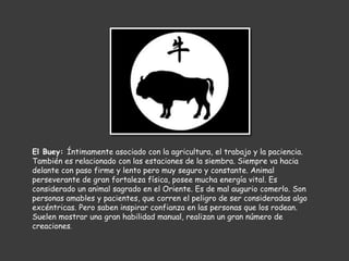 El Buey: Íntimamente asociado con la agricultura, el trabajo y la paciencia.
También es relacionado con las estaciones de la siembra. Siempre va hacia
delante con paso firme y lento pero muy seguro y constante. Animal
perseverante de gran fortaleza física, posee mucha energía vital. Es
considerado un animal sagrado en el Oriente. Es de mal augurio comerlo. Son
personas amables y pacientes, que corren el peligro de ser consideradas algo
excéntricas. Pero saben inspirar confianza en las personas que los rodean.
Suelen mostrar una gran habilidad manual, realizan un gran número de
creaciones.
 