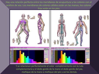 Hay una relación perfecta entre los meridianos de acupuntura y los colores con el
análisis de voz. Los meridianos de colores cálidos están en las manos, los colores
                              fríos están en los pies.




         Y se relacionan perfectamente el color complementario con la ruta
         complementaria y el dedo gordo de la mano al dedo gordo del pie,
                meñique de la mano a meñique del pie y así los demás.
 