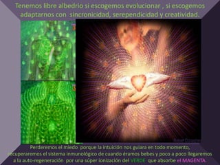 Tenemos libre albedrio si escogemos evolucionar , si escogemos
     adaptarnos con sincronicidad, serependicidad y creatividad.




          Perderemos el miedo porque la intuición nos guiara en todo momento,
recuperaremos el sistema inmunológico de cuando éramos bebes y poco a poco llegaremos
  a la auto-regeneración por una súper ionización del VERDE que absorbe el MAGENTA.
 