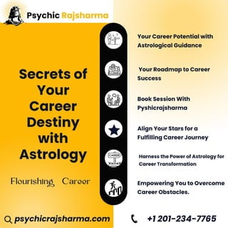Astrology Solutions for Career Problems_rajsharma.pdf