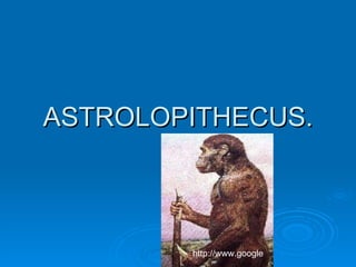 ASTROLOPITHECUS.



        http://www.google
 