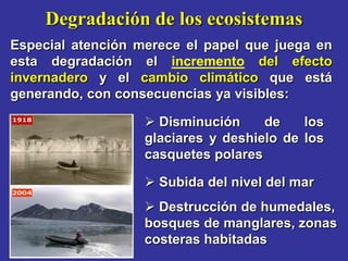 Degradación de los ecosistemas
Especial atención merece el papel que juega en
esta degradación el incremento del efecto
invernadero y el cambio climático que está
generando, con consecuencias ya visibles:

                    Disminución     de    los
                   glaciares y deshielo de los
                   casquetes polares

                    Subida del nivel del mar
                    Destrucción de humedales,
                   bosques de manglares, zonas
                   costeras habitadas
 