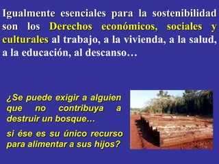 Igualmente esenciales para la sostenibilidad
son los Derechos económicos, sociales y
culturales al trabajo, a la vivienda, a la salud,
a la educación, al descanso…



¿Se puede exigir a alguien
que no contribuya a
destruir un bosque…
si ése es su único recurso
para alimentar a sus hijos?
 