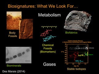 Biosignatures: What We Look For…
Body
Fossils
Biominerals
Biofabrics
Chemical
Fossils
(Biomarkers)
Stable Isotopes
Des Marais (2014)
Gases
Metabolism
 