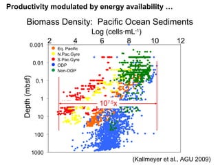 Depth(mbsf)
12108642
Log (cells·mL-1
)
● Eq. Pacific
● N.Pac.Gyre
● S.Pac.Gyre
● ODP
● Non-ODP
Biomass Density: Pacific Ocean Sediments
(Kallmeyer et al., AGU 2009)
107.5
x
Productivity modulated by energy availability …
 