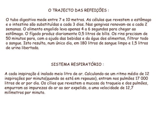 O TRAJECTO DAS REFEIÇÕES : O tubo digestivo mede entre 7 e 10 metros. As células que revestem o estômago e o intestino são substituídas a cada 3 dias. Nas gengivas renovam-se a cada 2 semanas. O alimento engolido leva apenas 4 a 6 segundos para chegar ao estômago. O fígado produz diariamente 0,5 litros de bílis. Os rins precisam de 50 minutos para, com a ajuda das bebidas e da água dos alimentos, filtrar todo o sangue. Isto resulta, num único dia, em 180 litros de sangue limpo e 1,5 litros de urina libertada. SISTEMA RESPIRATÓRIO : A cada inspiração é inalado meio litro de ar. Calculando-se um ritmo médio de 12 inspirações por minuto(quando se está em repouso), entram nos pulmões 17 000 litros de ar por dia. Os cílios que revestem a mucosa da traqueia e dos pulmões, empurram as impurezas do ar ao ser expelido, a uma velocidade de 12,7 milímetros por minuto. 