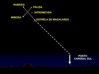 MIMOSA RUBIDEA PÁLIDA INTROMETIDA ESTRÊLA DE MAGALHÃES PONTO  CARDEAL SUL 
