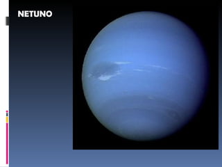 NETUNO
 