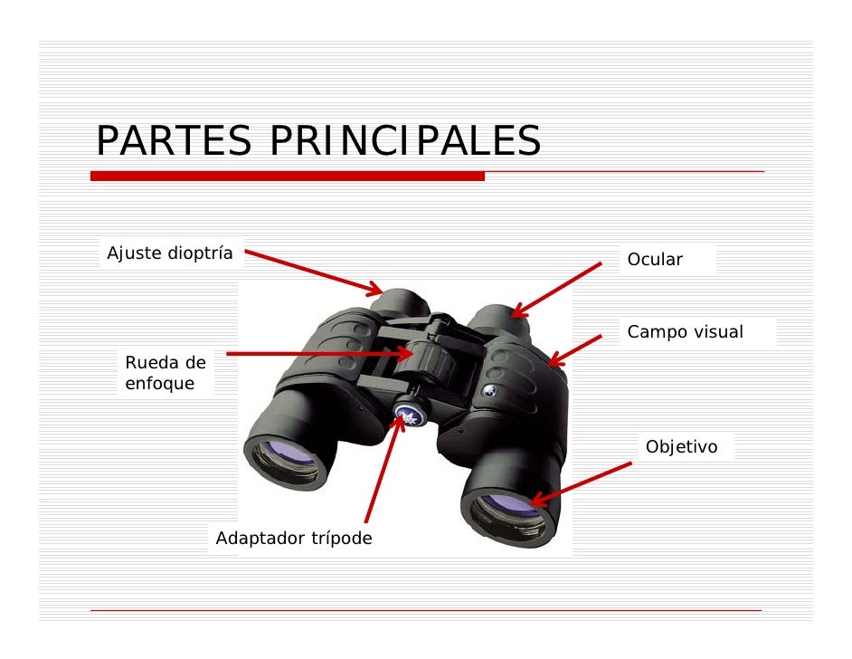 Astronomia binoculares
