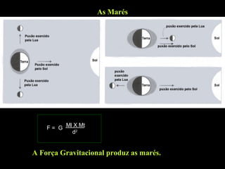 As Marés




    F = G Ml X Mt
            d2


A Força Gravitacional produz as marés.
 