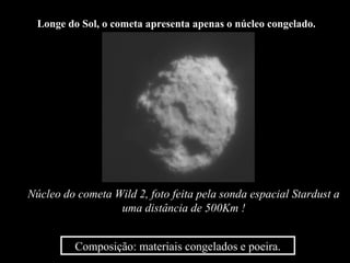 Longe do Sol, o cometa apresenta apenas o núcleo congelado.




Núcleo do cometa Wild 2, foto feita pela sonda espacial Stardust a
                  uma distância de 500Km !


          Composição: materiais congelados e poeira.
 