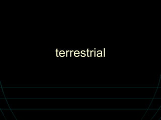 terrestrial 