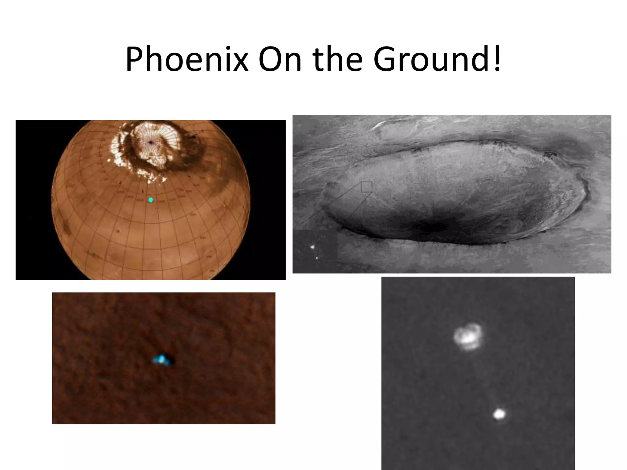 Phoenix On the Ground!

 