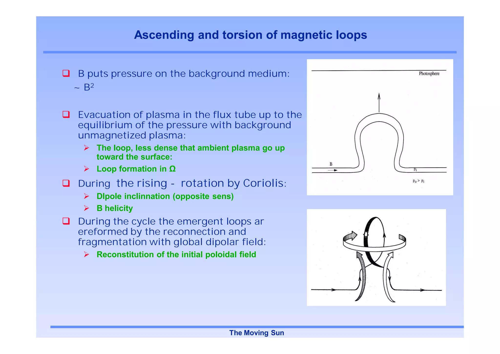 Ascending and torsion of magnetic loops


 B puts pressure on the background medium:
~ B2

Evacuation of plasma in the flux tube up to the
equilibrium of the pressure with background
unmagnetized plasma:
    The loop, less dense that ambient plasma go up
    toward the surface:
    Loop formation in
During the rising - rotation by Coriolis:
    DIpole inclinnation (opposite sens)
    B helicity
During the cycle the emergent loops ar
ereformed by the reconnection and
fragmentation with global dipolar field:
    Reconstitution of the initial poloidal field




                                        The Moving Sun
 