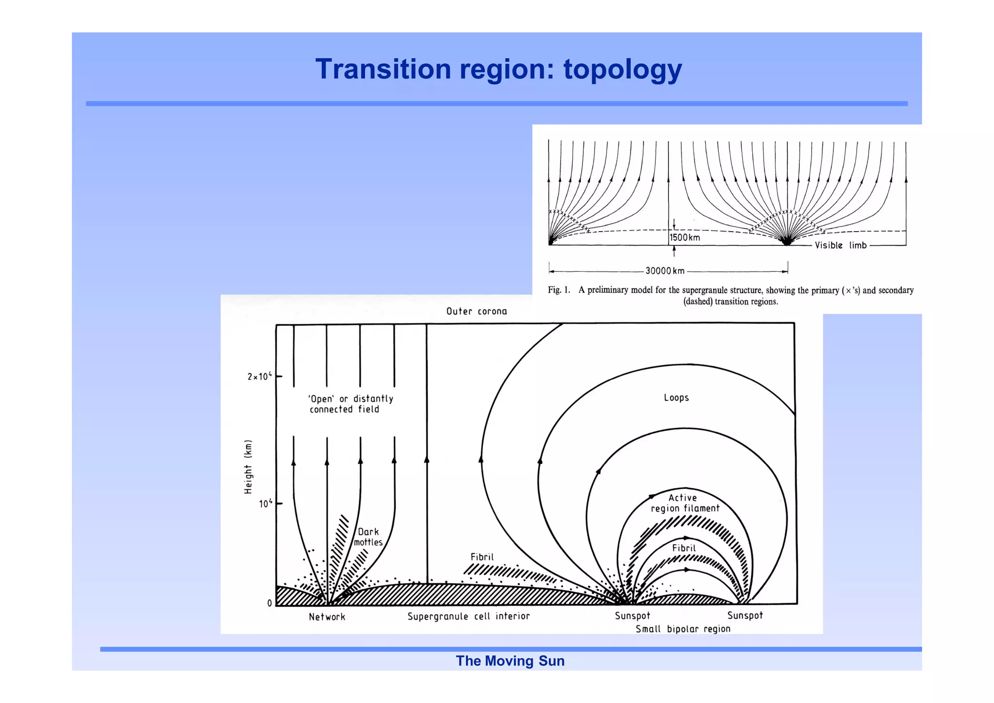 Transition region: topology




          The Moving Sun
 