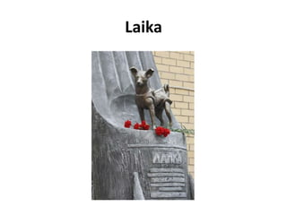 Laika