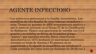 Los astrovirus pertenecen a la familia Astroviridae. Los
miembros de esta familia de virus infectan mamíferos y
aves. Tienen un genoma de ARN monocatenario positivo y
por lo tanto se incluyen en el Grupo IV de la Clasificación
de Baltimore. Tienen una apariencia de estrella con 5 o 6
puntas y su nombre se deriva de la palabra griega
"astron", que significa estrella. Estos virus fueron
descubiertos en 1975 mediante el microscopio electrónico
durante un brote de diarrea.2 El genoma no es
segmentado y la cápside es icosaédrica sin envoltura.3
Cada partícula del virus tiene un diámetro de 28-30 nm.4
 