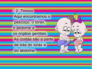  2- Tronco
Aqui encontramos o
pescoço, o tórax,
o abdome e
os órgãos genitais.
As costas são a parte
de trás do toráx e
do abdome.
 