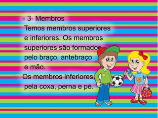 3- Membros
Temos membros superiores
e inferiores. Os membros
superiores são formados
pelo braço, antebraço
e mão.
Os membros inferiores,
pela coxa, perna e pé.
 