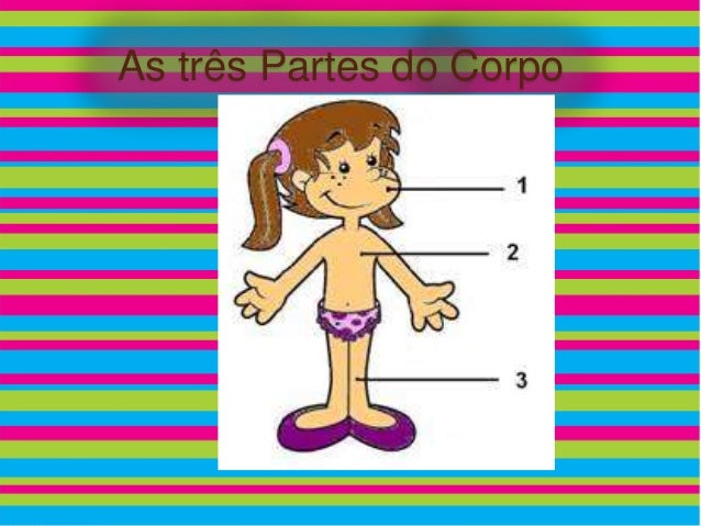 Quais São As Três Partes Que Formam O Corpo Humano? – SYDT