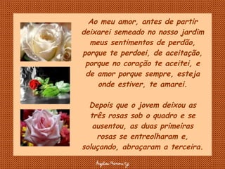 Ao meu amor, antes de partir deixarei semeado no nosso jardim meus sentimentos de perdão, porque te perdoei, de aceitação, porque no coração te aceitei, e de amor porque sempre, esteja onde estiver, te amarei. Depois que o jovem deixou as três rosas sob o quadro e se ausentou, as duas primeiras rosas se entreolharam e, soluçando, abraçaram a terceira. 