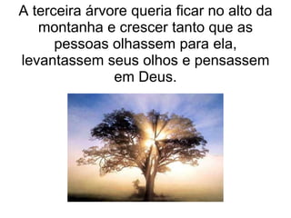 A terceira árvore queria ficar no alto da
   montanha e crescer tanto que as
      pessoas olhassem para ela,
levantassem seus olhos e pensassem
               em Deus.
 