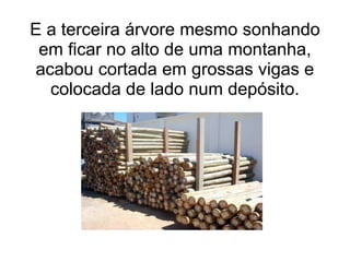E a terceira árvore mesmo sonhando
 em ficar no alto de uma montanha,
acabou cortada em grossas vigas e
  colocada de lado num depósito.
 