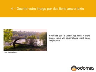 4 – Décrire votre image par des liens ancre texte




                                     N’hésitez pas à utiliser les liens « ancre
                                     texte » pour vos descriptions, c’est aussi
                                     fait pour ca.




Photo : Laëtitia Marant
 