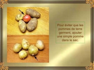 Pour éviter que les
pommes de terre
germent, ajouter
une simple pomme
dans le sac.
 