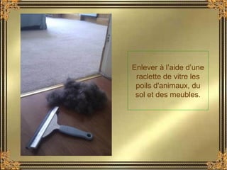Enlever à l’aide d’une
raclette de vitre les
poils d'animaux, du
sol et des meubles.
 