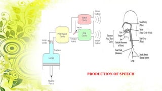 PRODUCTION OF SPEECH
 