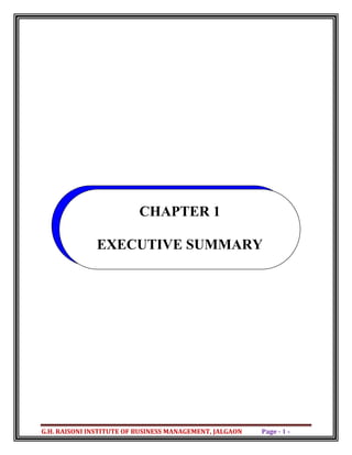 CHAPTER 1
EXECUTIVE SUMMARY
G.H. RAISONI INSTITUTE OF BUSINESS MANAGEMENT, JALGAON  Page ‐ 1 - 
 