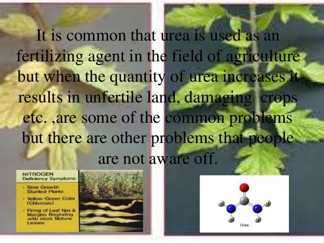 effect how environment chemical on fertilizer A of green on non product consequence study effect how environment chemical on fertilizer A of green on non product consequence study