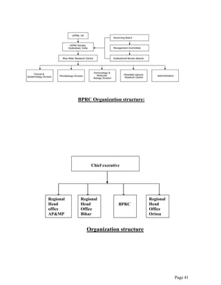 Page 41
BPRC Organization structure:
Organization structure
Regional
Head
Office
Orissa
Regional
Head
office
AP&MP
Regional
Head
Office
Bihar
BPRC
Chief executive
 
