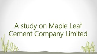 A study on Maple Leaf
Cement Company Limited
 