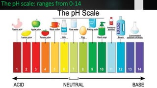 The pH scale: ranges from 0-14
 