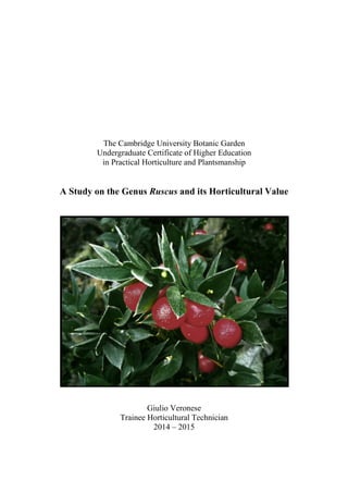 The Cambridge University Botanic Garden
Undergraduate Certificate of Higher Education
in Practical Horticulture and Plantsmanship
A Study on the Genus Ruscus and its Horticultural Value
Giulio Veronese
Trainee Horticultural Technician
2014 – 2015
 