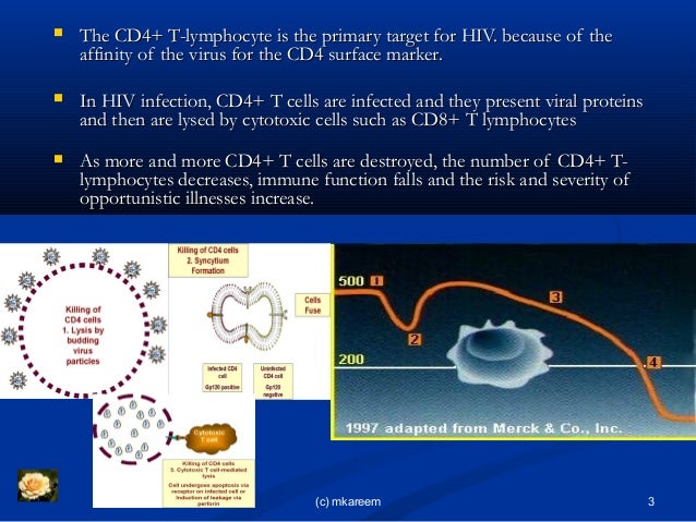 Does CD4 Cell Count Influence CT features of Intracranial 