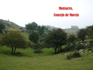 Monsacro,  Concejo de Morcín 